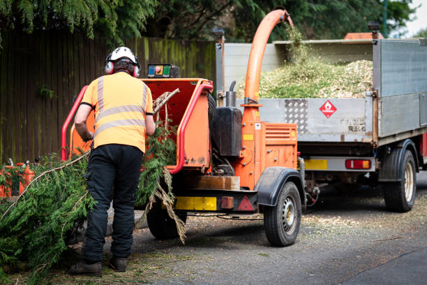 Best Tree and Shrub Care  in Tuscumbia, AL